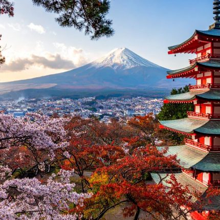JAPON EXPRESS